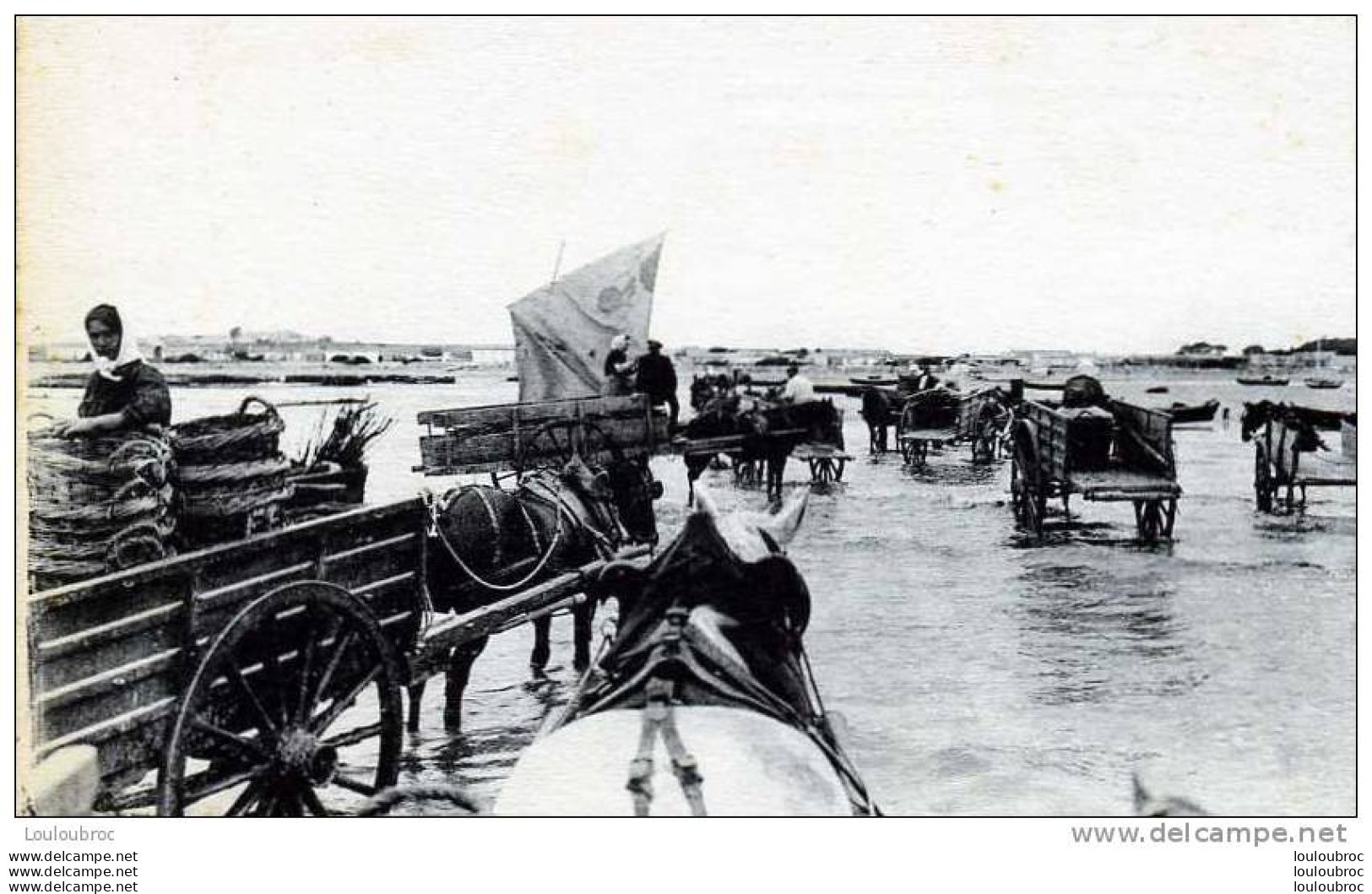 17  CHATELAILLON LES BOUCHOLEURS CHARGENT LES PANIERS DE MOULES - Autres & Non Classés