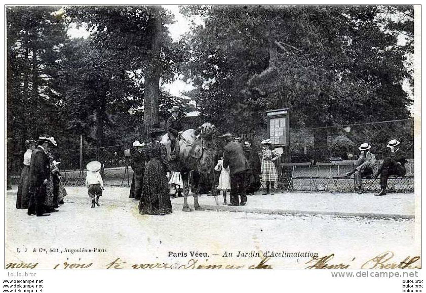 75 PARIS VECU AU JARDIN D'ACCLIMATATION UN CHAMEAU EDIT L.J. ET CIE VOYAGEE 1905 - Autres & Non Classés