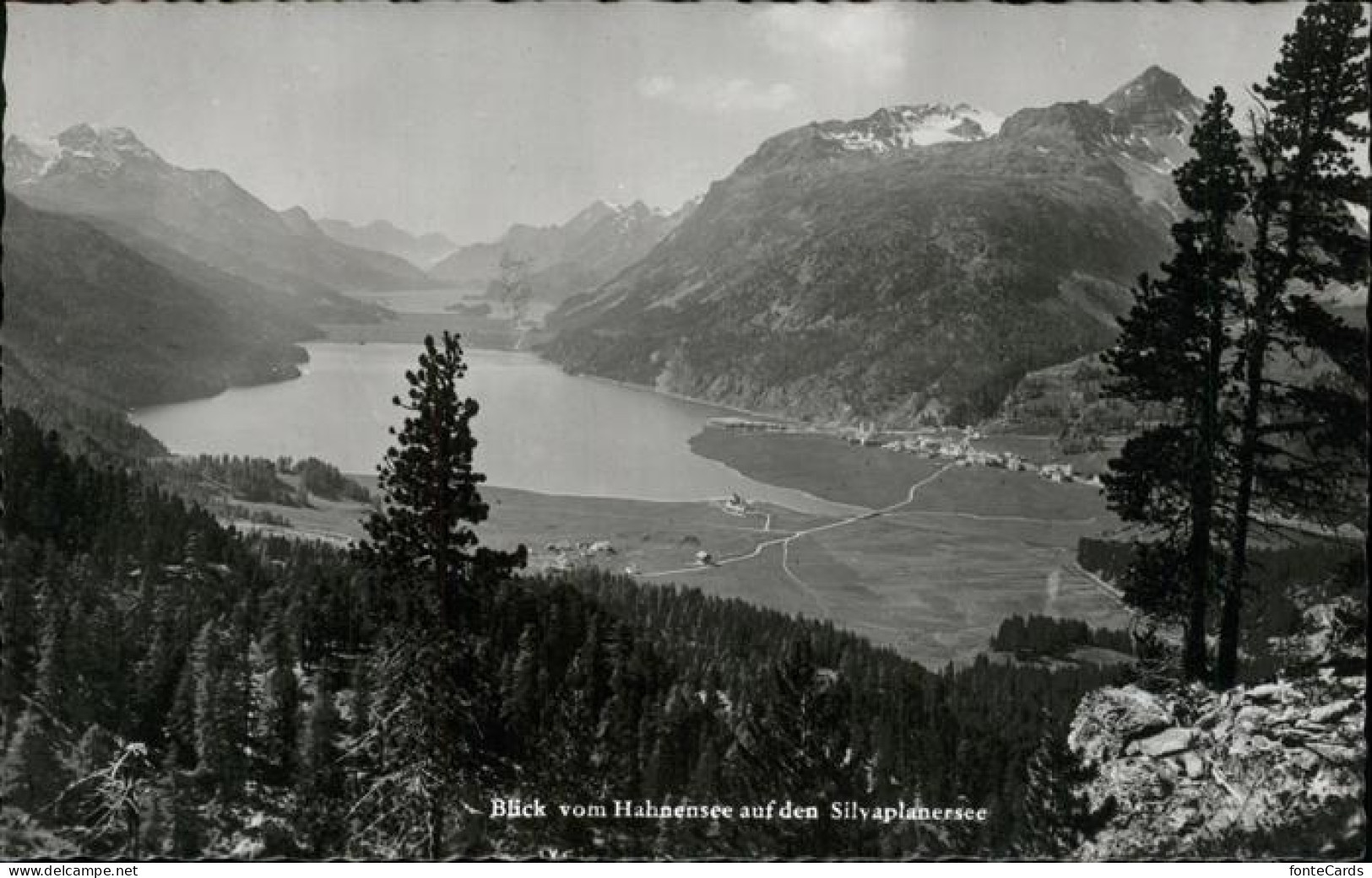 11357705 Hahnensee Silyaplanersee Hahnensee - Altri & Non Classificati