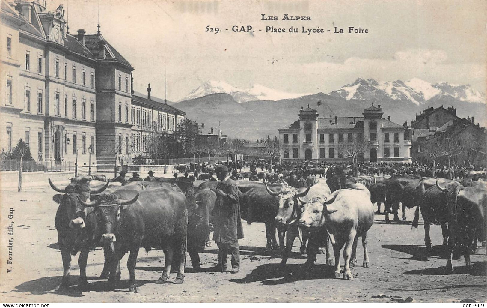 GAP (Hautes-Alpes) - Place Du Lycée - La Foire Aux Bestiaux - Voyagé 1911 (2 Scans) - Gap