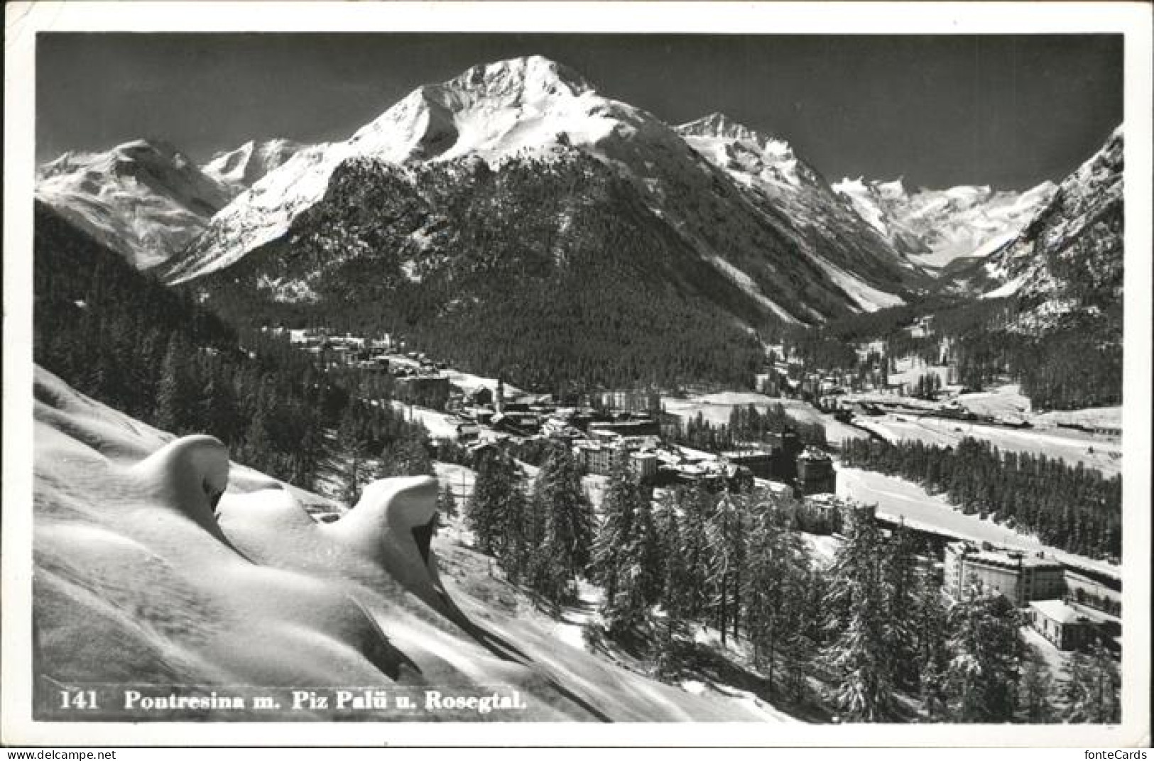 11357674 Pontresina Piz Palue Rosegtal Pontresina - Other & Unclassified