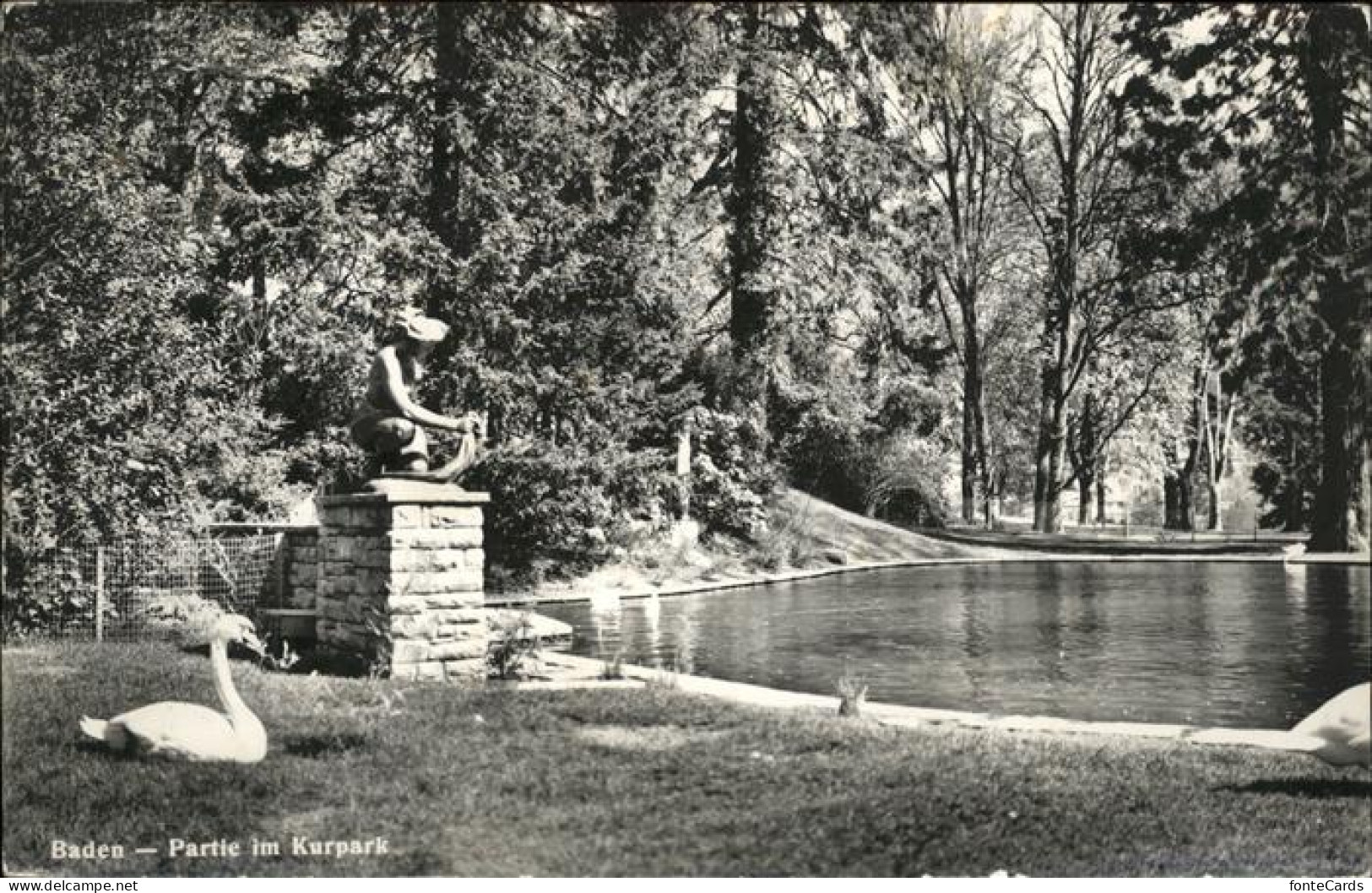 11357657 Baden AG Kurpark Schwan Baden - Sonstige & Ohne Zuordnung