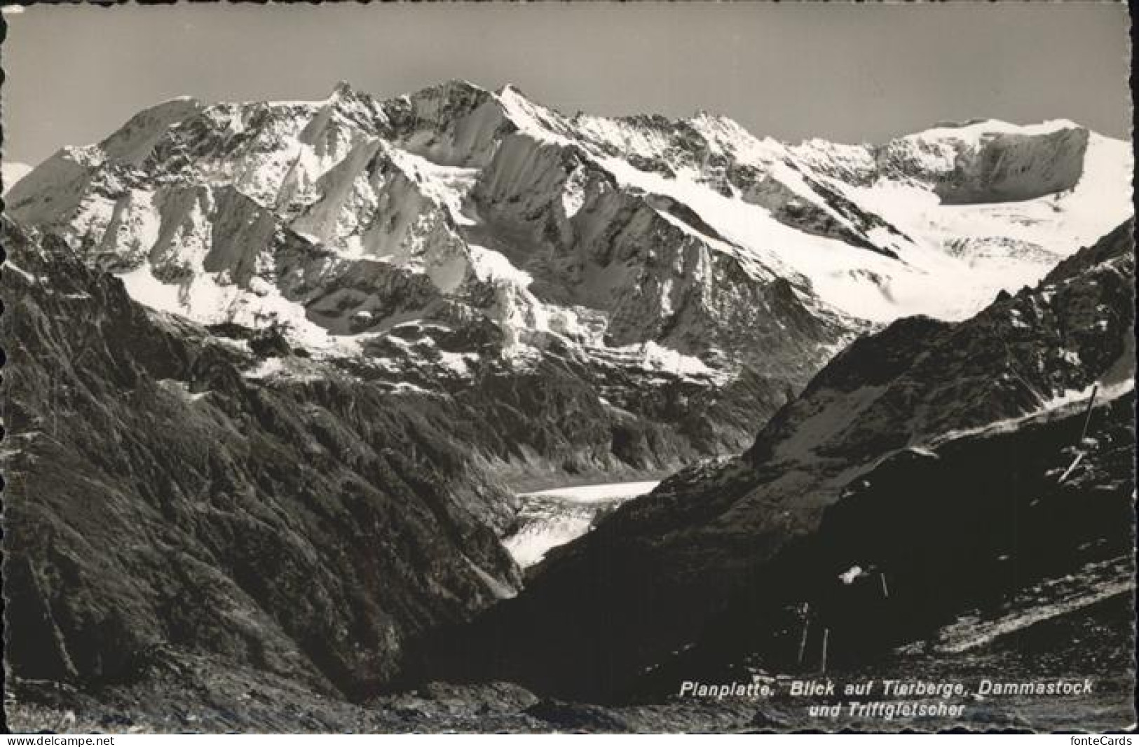 11357627 Planplatten Dammastock Tierberge Triftgletscher Planplatten - Andere & Zonder Classificatie