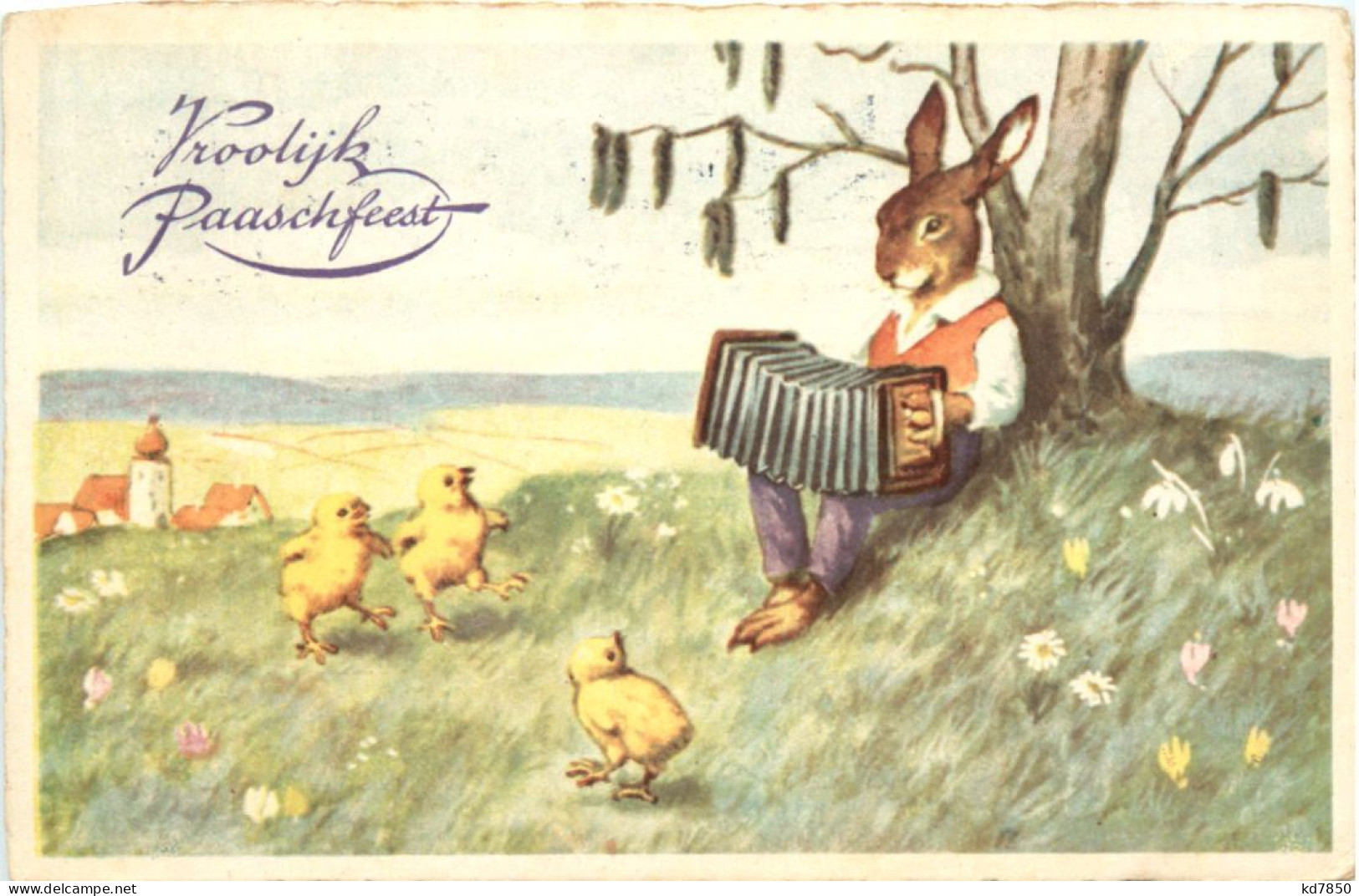 Ostern - Hase - Chicken - Pâques