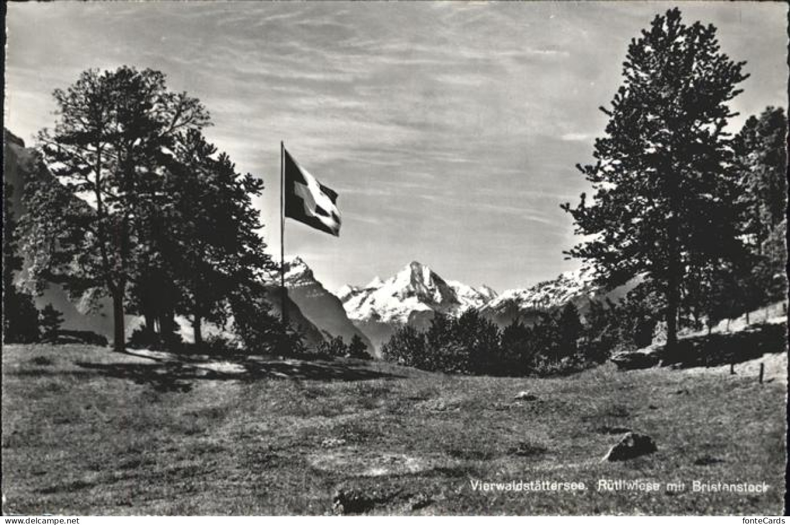 11357573 Vierwaldstaettersee SZ Ruettlwiese Bristanstock Brunnen - Sonstige & Ohne Zuordnung