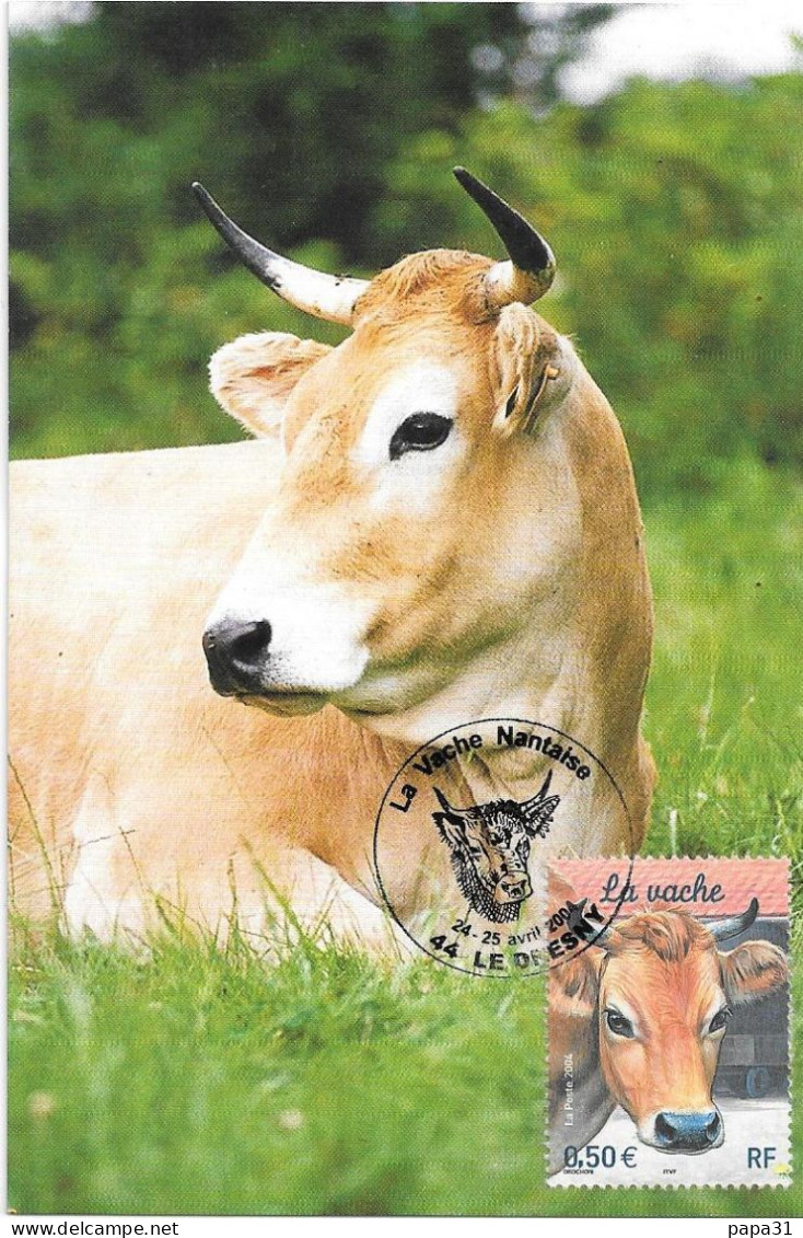 La Vache Nantaise  Avec Le  Timbre - Mucche