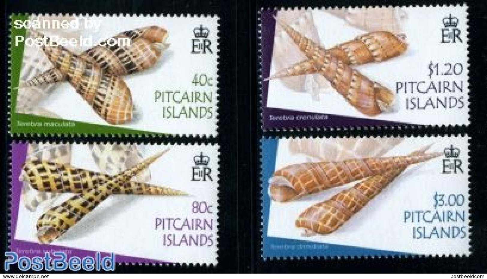 Pitcairn Islands 2004 Shells 4v, Mint NH, Nature - Shells & Crustaceans - Mundo Aquatico