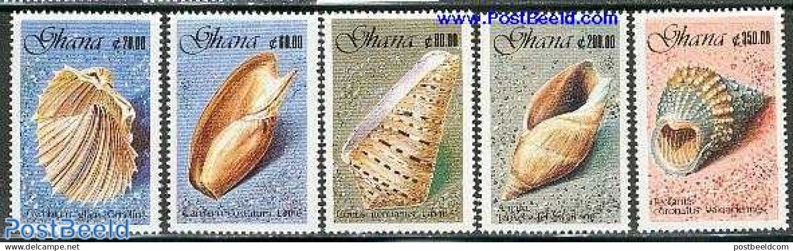 Ghana 1990 Shells 5v, Mint NH, Nature - Shells & Crustaceans - Vita Acquatica