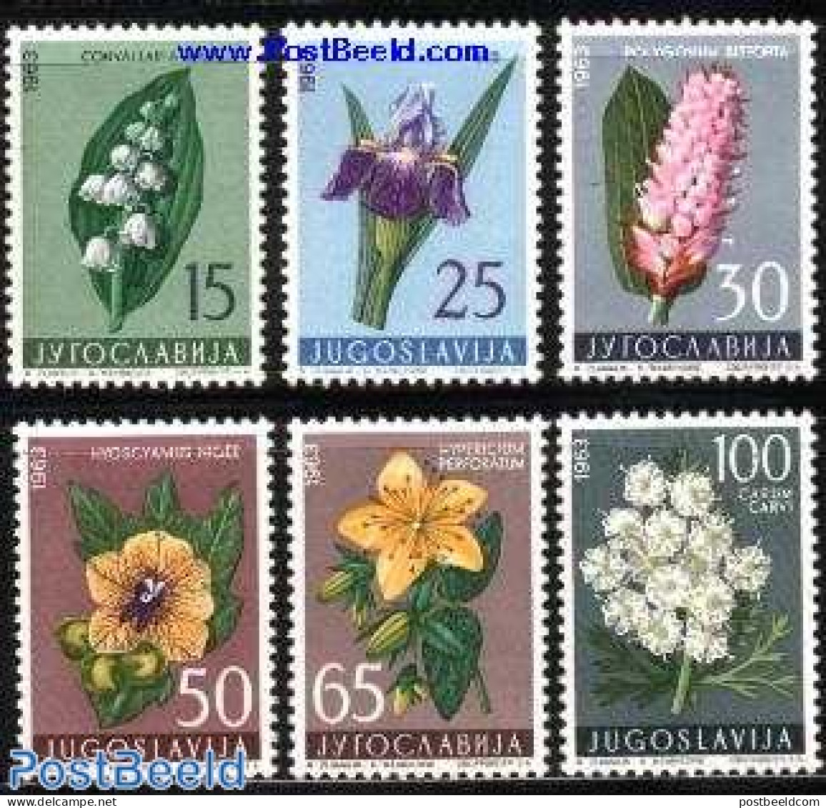 Yugoslavia 1963 Flowers 6v, Mint NH, Nature - Flowers & Plants - Ongebruikt