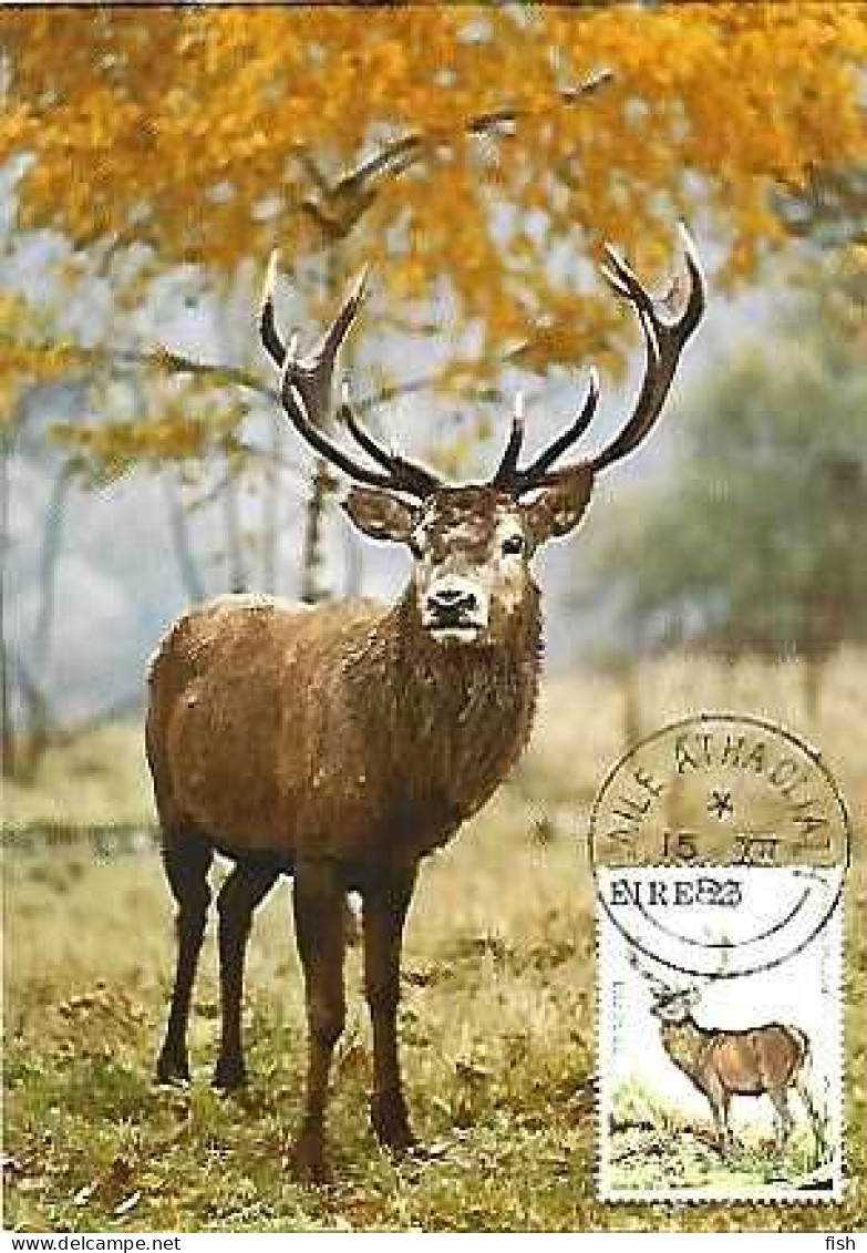 Ireland & Maximum Card, Cervus Elaphus, Dublin 1982 (7979) - Maximumkarten