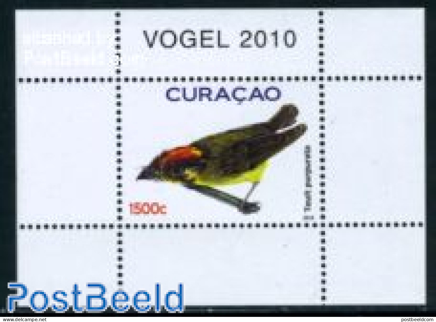 Curaçao 2010 Birds S/s, Touit Purpurata, Mint NH, Nature - Birds - Curaçao, Nederlandse Antillen, Aruba