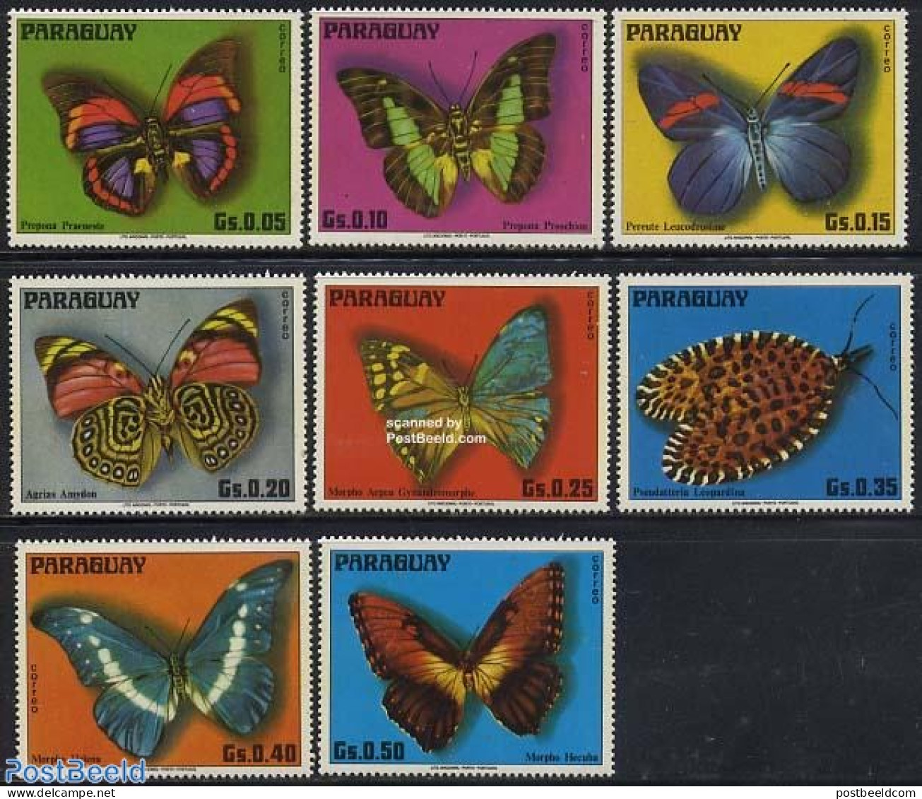 Paraguay 1975 Butterflies 8v, Mint NH, Nature - Butterflies - Paraguay