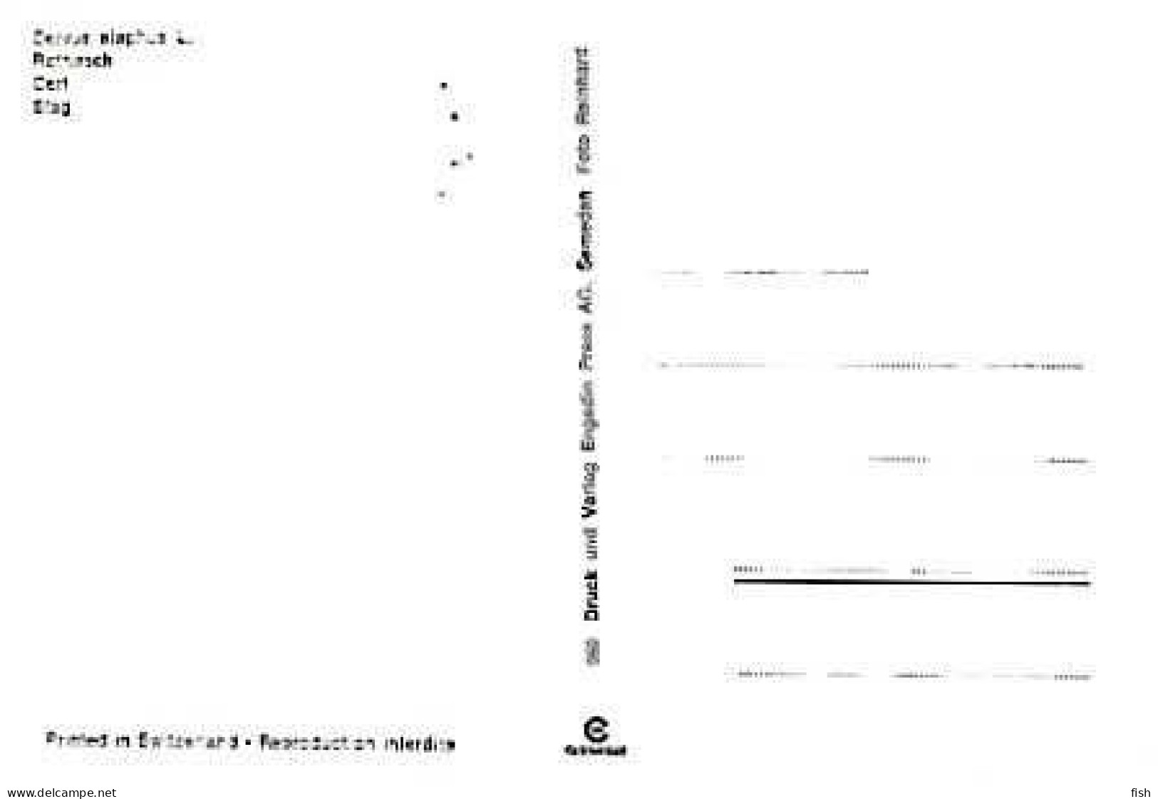 Ireland & Maximum Card, Cervus Elaphus, Dublin 1982 (7979) - Other & Unclassified