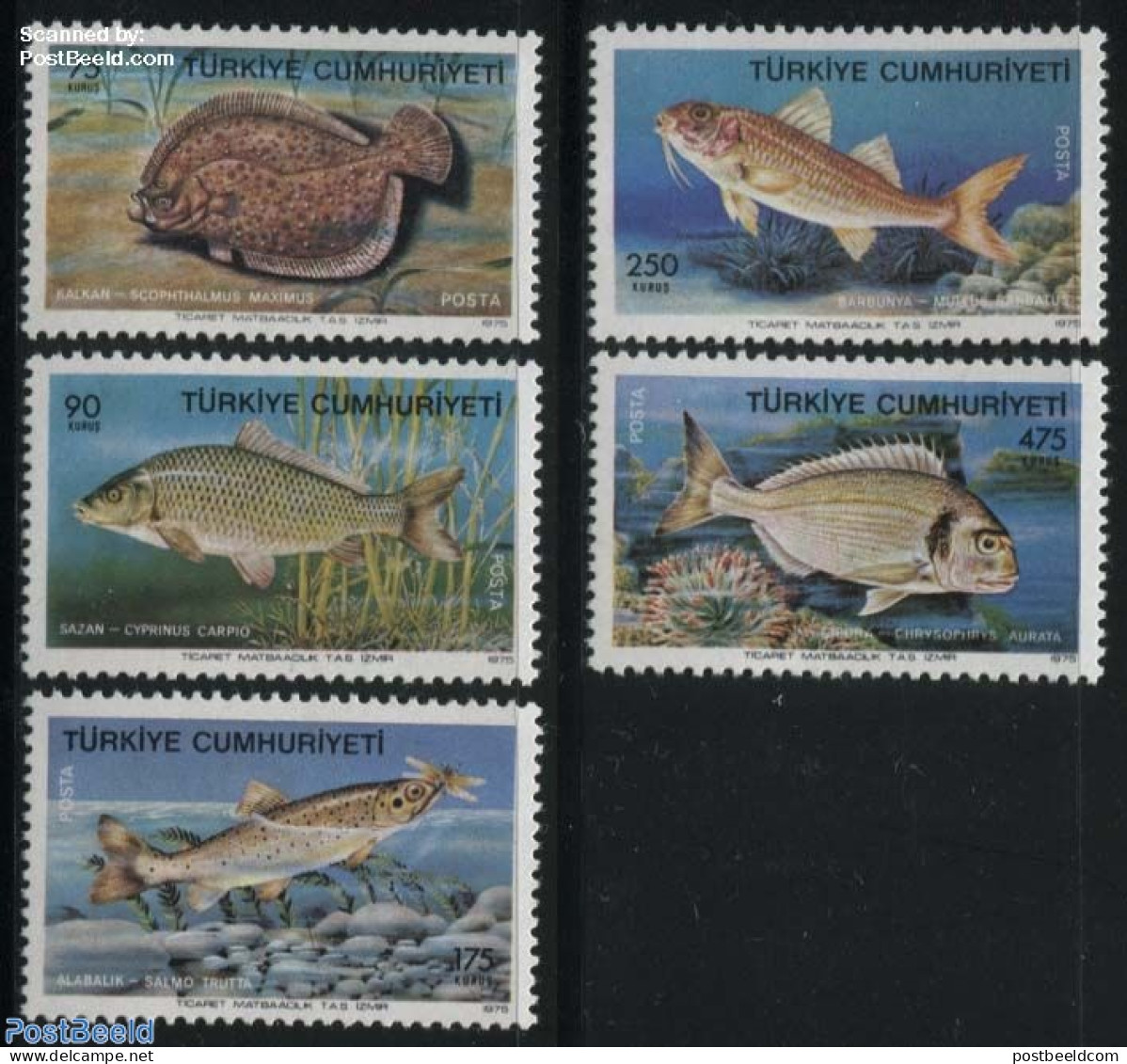 Türkiye 1975 Fish 5v, Mint NH, Nature - Fish - Altri & Non Classificati