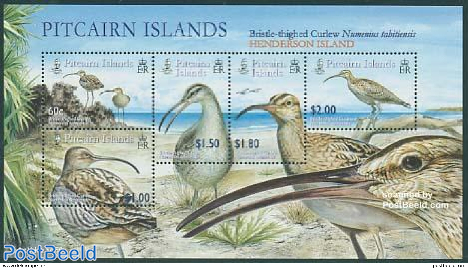 Pitcairn Islands 2005 Birds 5v M/s, Mint NH, Nature - Birds - Andere & Zonder Classificatie