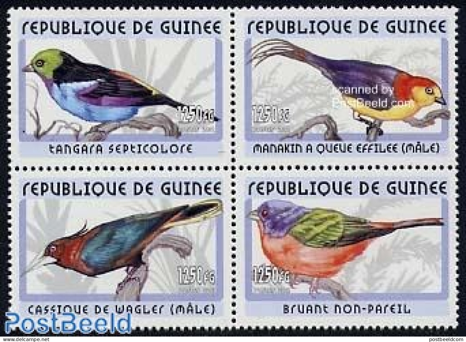 Guinea, Republic 2001 Birds 4v [+], Tangasa Septicolore, Mint NH, Nature - Birds - Other & Unclassified