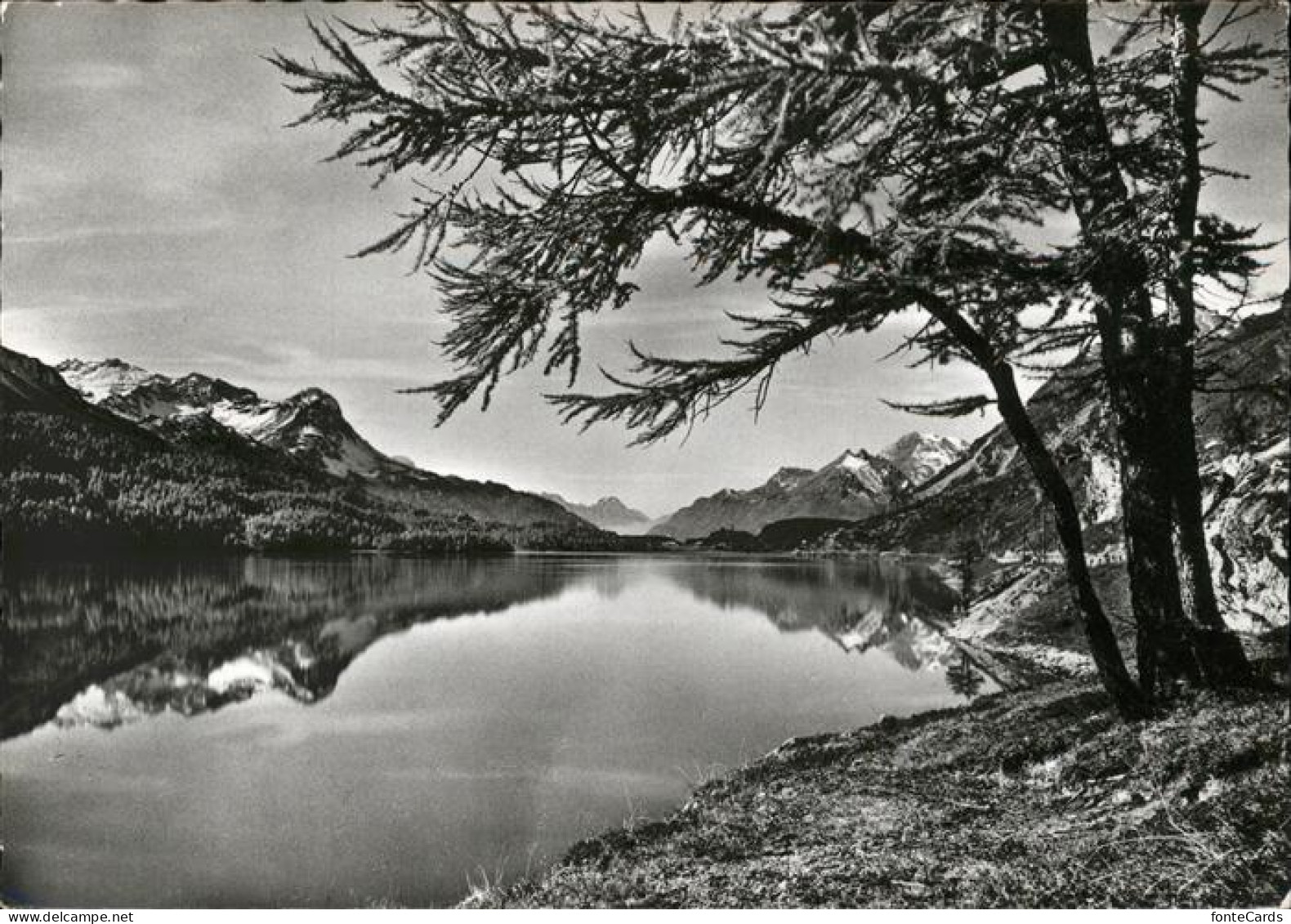 11353926 Sils Engadin Graubuenden Blick Ueber Silsersee Auf Maloja  - Other & Unclassified