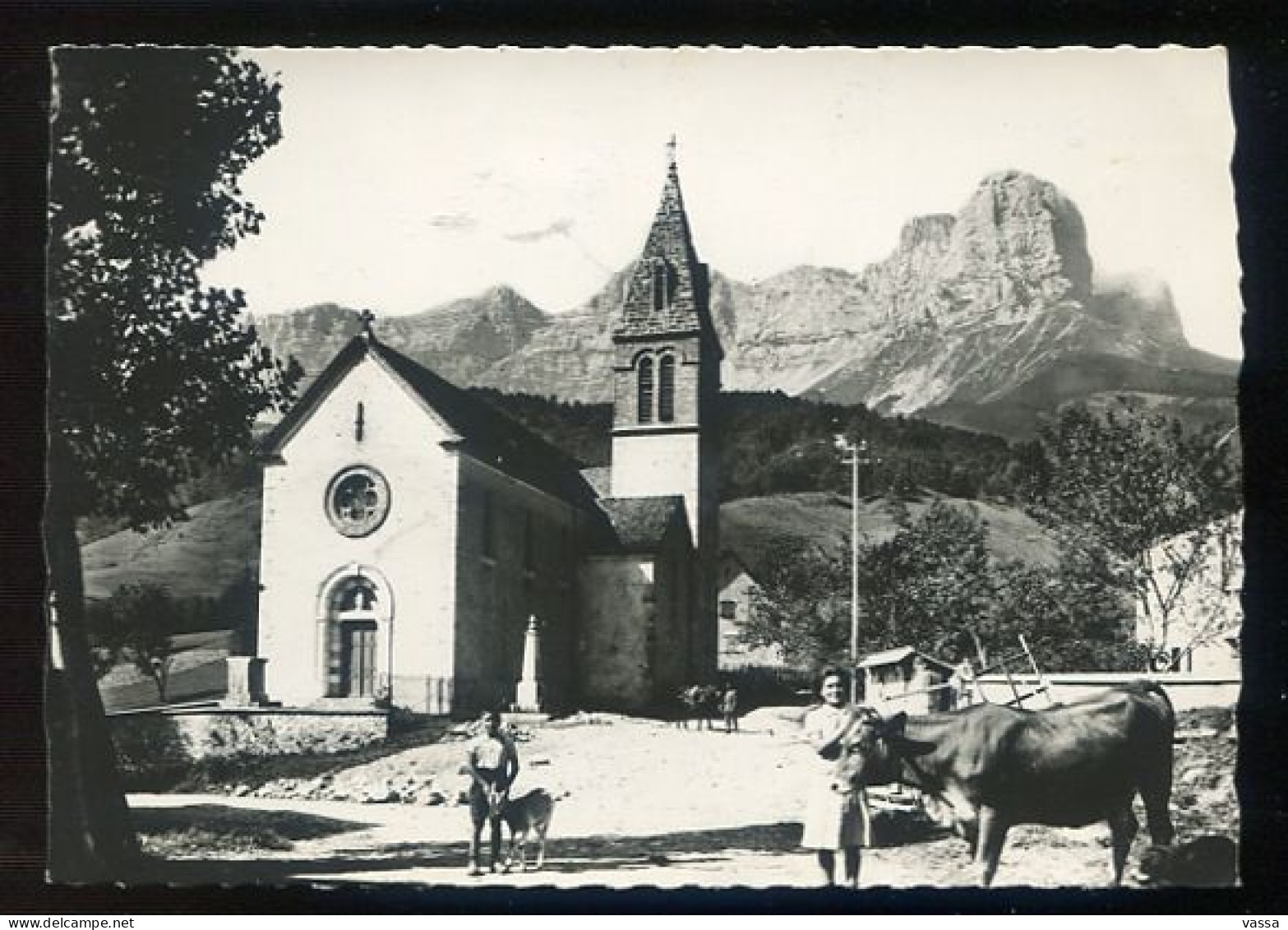 1955- CHATEAU BERNARD - Au Pied De La Grande Moucherolle .vache Chevre - Autres & Non Classés