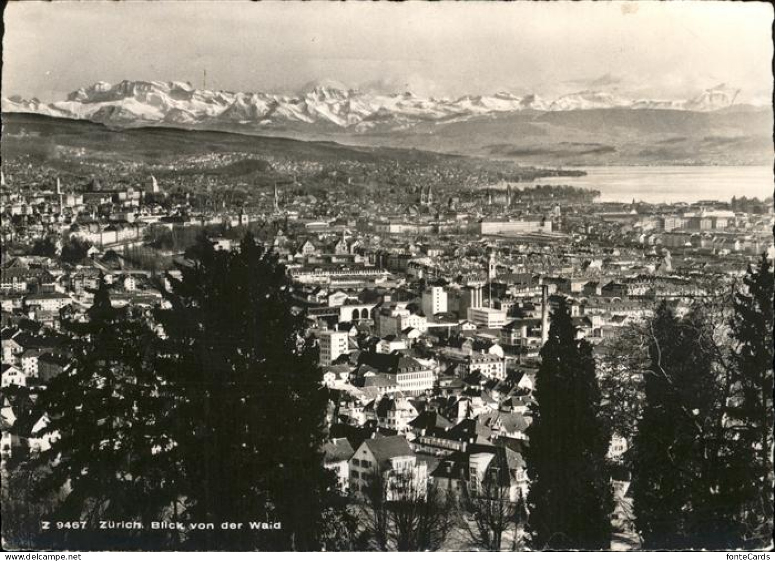 11353908 Zuerich Blick Von Der Waid Zuerichsee Mit Alpenblick Zuerich - Sonstige & Ohne Zuordnung