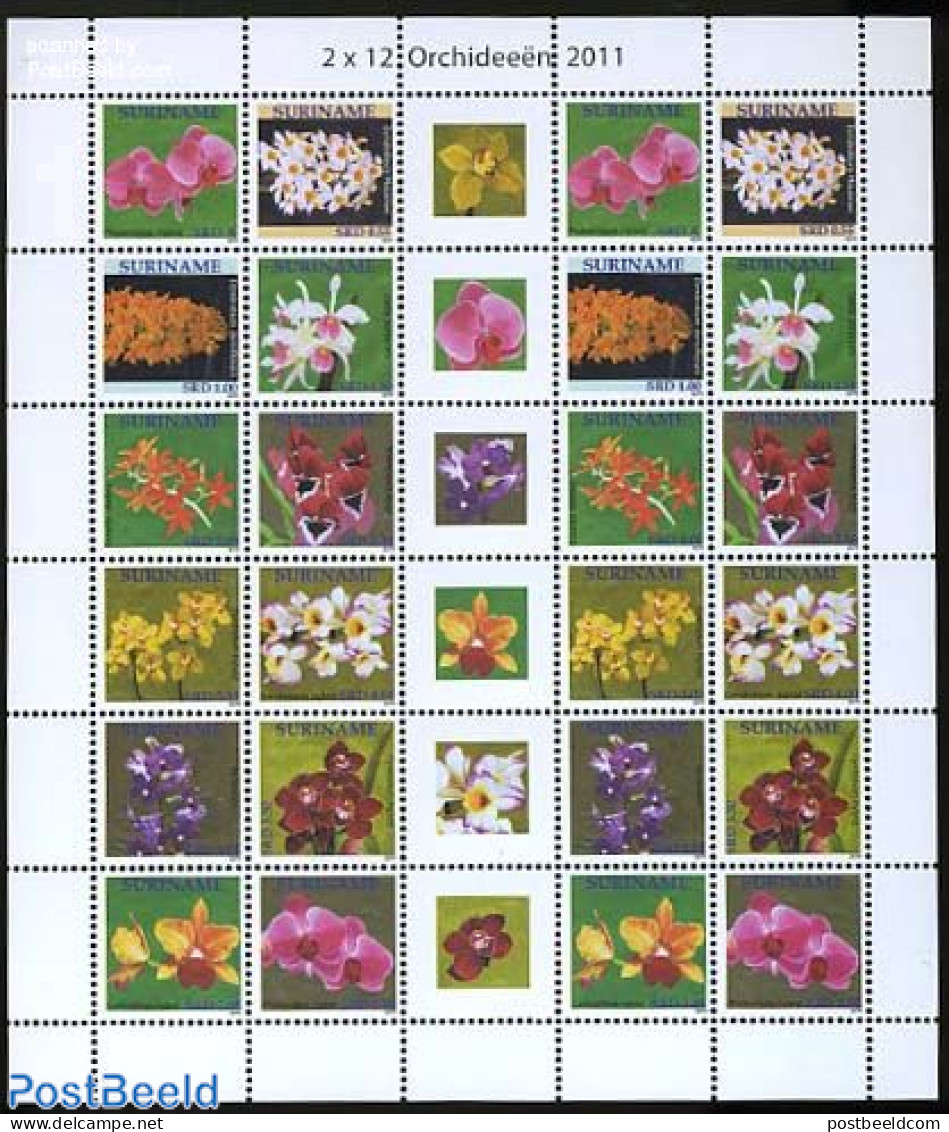 Suriname, Republic 2011 Orchids 2x12v M/s, Mint NH, Nature - Flowers & Plants - Orchids - Suriname