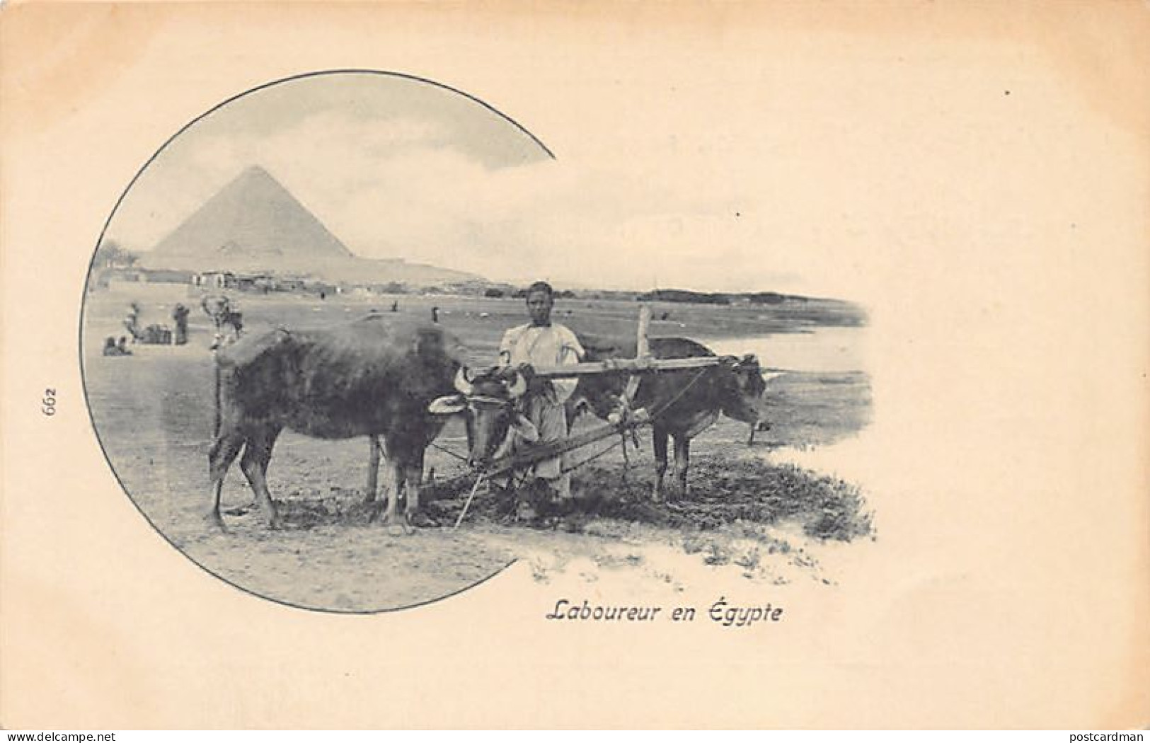 Egypt - Ploughmen - Publ. Unknown 662 - Otros & Sin Clasificación