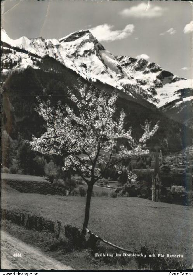 11353858 Thusis Fruehling Im Domleschg Tal Mit Piz Beverin Baumbluete Thusis - Autres & Non Classés