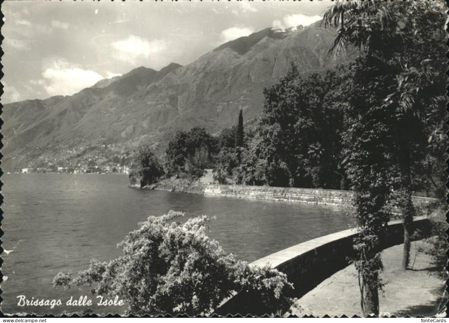 11353819 Brissago TI Dalle Isole Parco Lago Maggiore Brissago - Andere & Zonder Classificatie