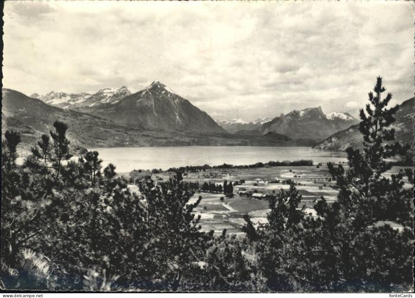 11353810 Interlaken BE Thunersee Mit Alpenpanorama Interlaken - Andere & Zonder Classificatie