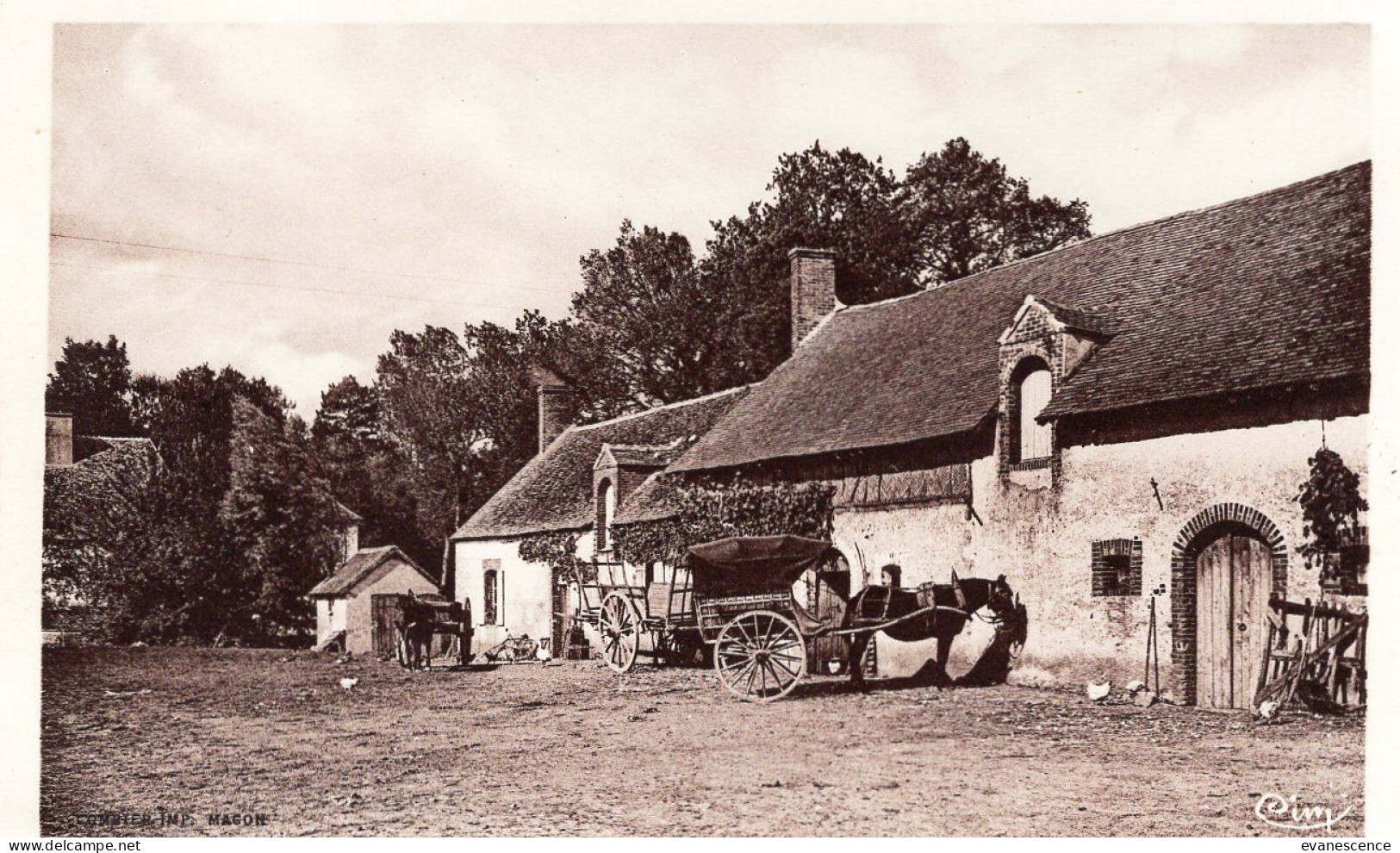 89 :  Champignelles :  La Ferme Du Parc Viel    ///  Ref. Mai 24 ///  N° 29.694 - Sonstige & Ohne Zuordnung