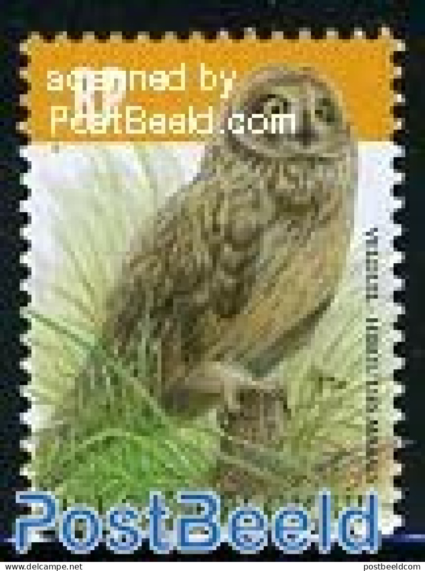 Belgium 2012 Short Eared Owl 1v, Mint NH, Nature - Birds - Birds Of Prey - Owls - Unused Stamps