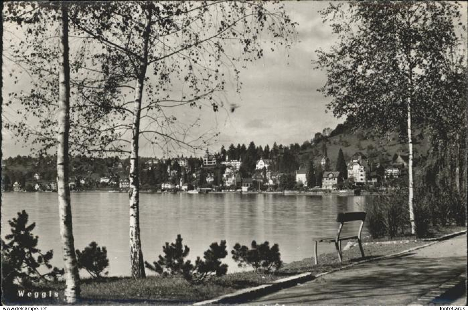 11353705 Weggis Vierwaldstaettersee Uferpromenade Am Vierwaldstaettersee Weggis - Andere & Zonder Classificatie