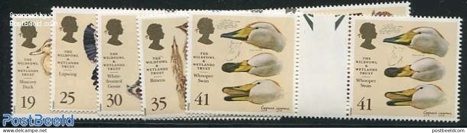 Great Britain 1996 Waterbirds 5v, Gutter Pairs, Mint NH, Nature - Birds - Ducks - Other & Unclassified