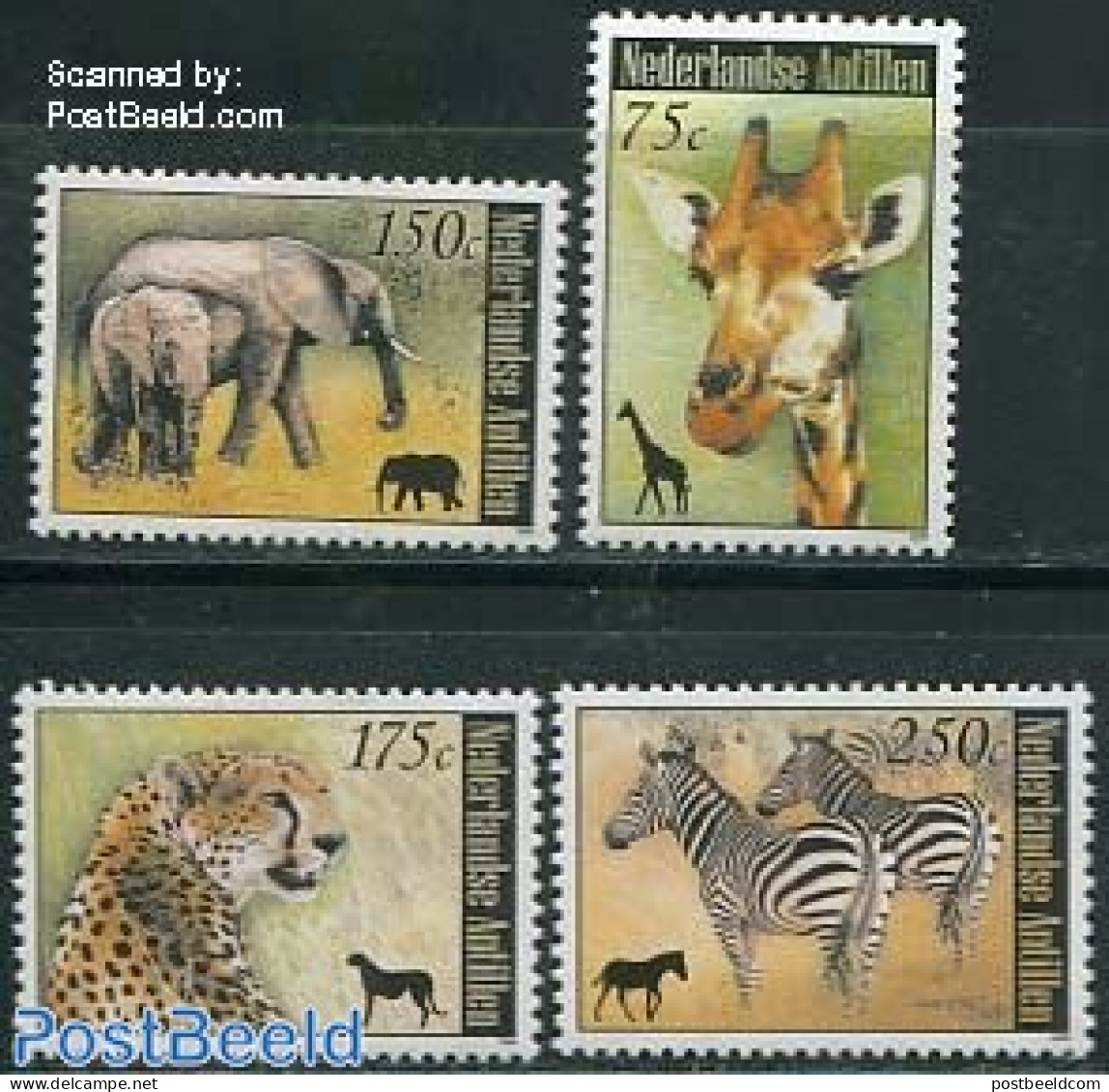 Netherlands Antilles 2008 Animals 4v, Mint NH, Nature - Animals (others & Mixed) - Cat Family - Elephants - Giraffe - .. - Sonstige & Ohne Zuordnung