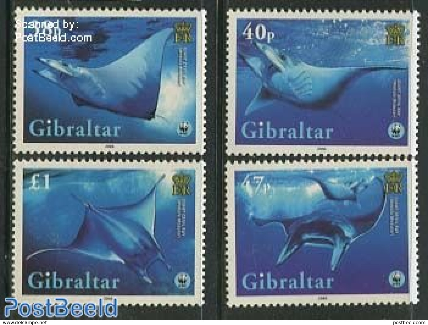 Gibraltar 2006 WWF, Rays 4v, Mint NH, Nature - Fish - World Wildlife Fund (WWF) - Fische