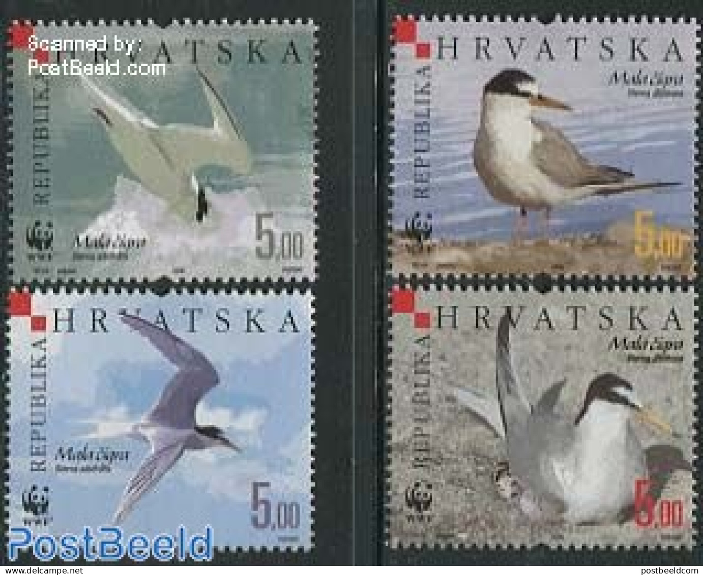 Croatia 2006 WWF, Birds 4v, Mint NH, Nature - Birds - World Wildlife Fund (WWF) - Croatia
