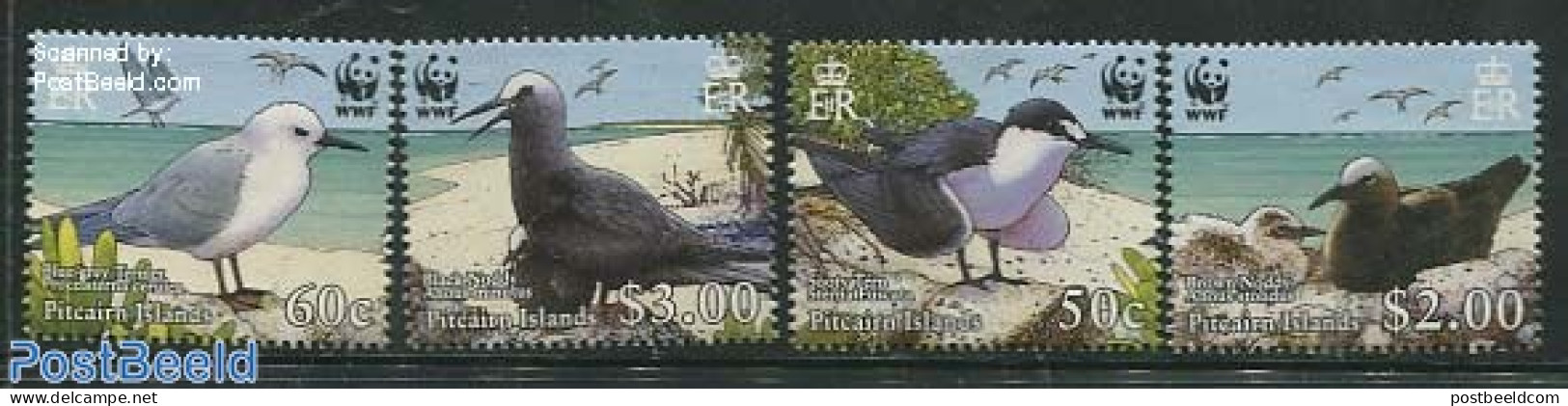 Pitcairn Islands 2007 WWF, Birds 4v, Mint NH, Nature - Birds - World Wildlife Fund (WWF) - Andere & Zonder Classificatie