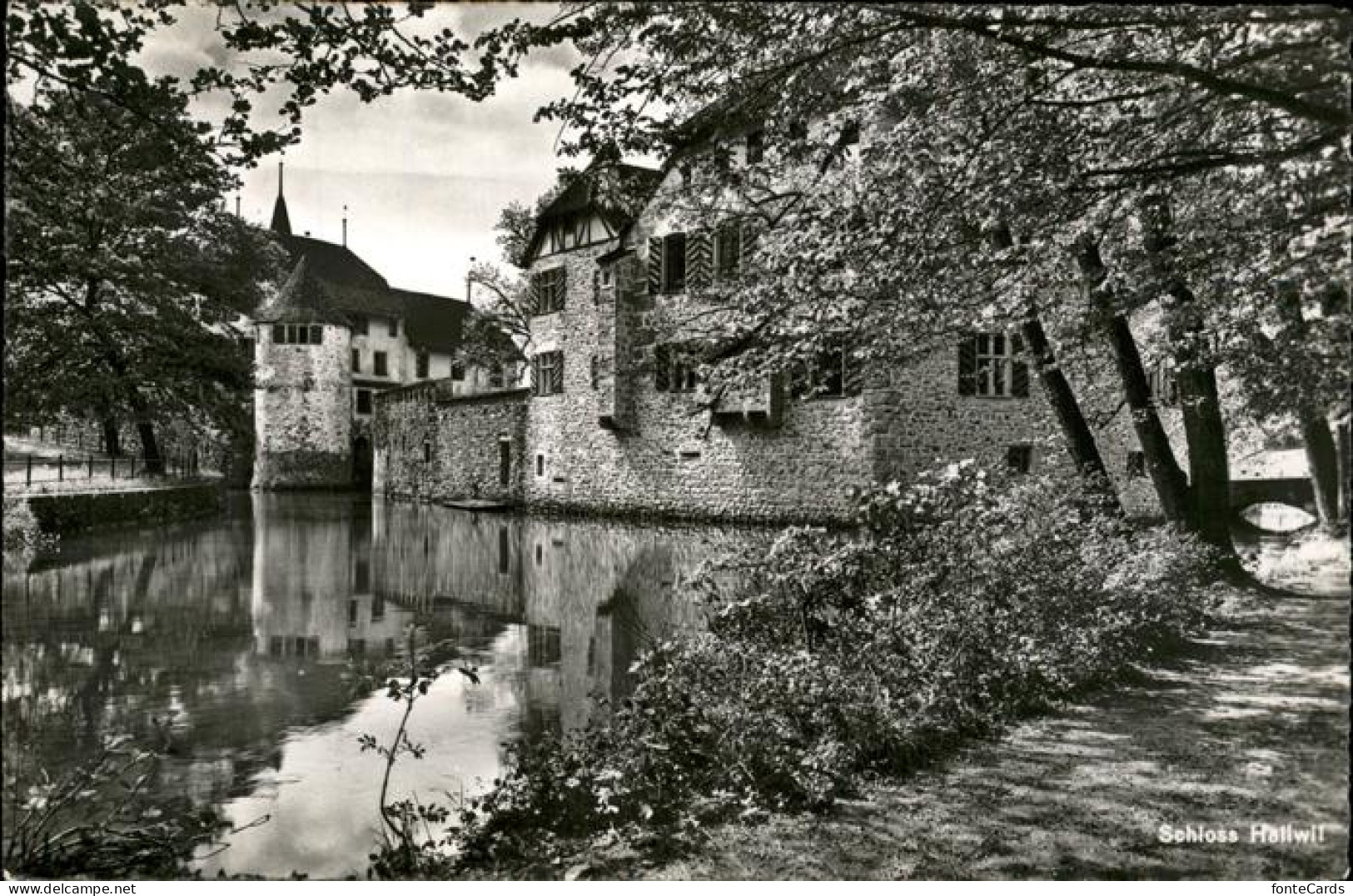 11353631 Hallwil Schloss Hallwil - Sonstige & Ohne Zuordnung