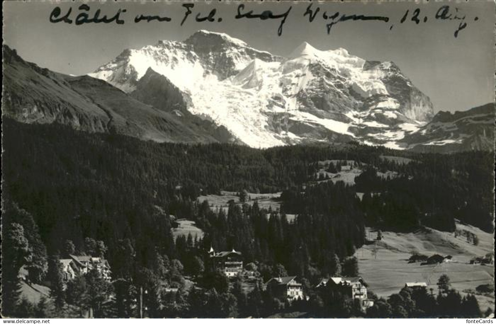 11353588 Wengen BE Schiltwald Mit Blick Zur Jungfrau Berner Alpen Wengen - Sonstige & Ohne Zuordnung