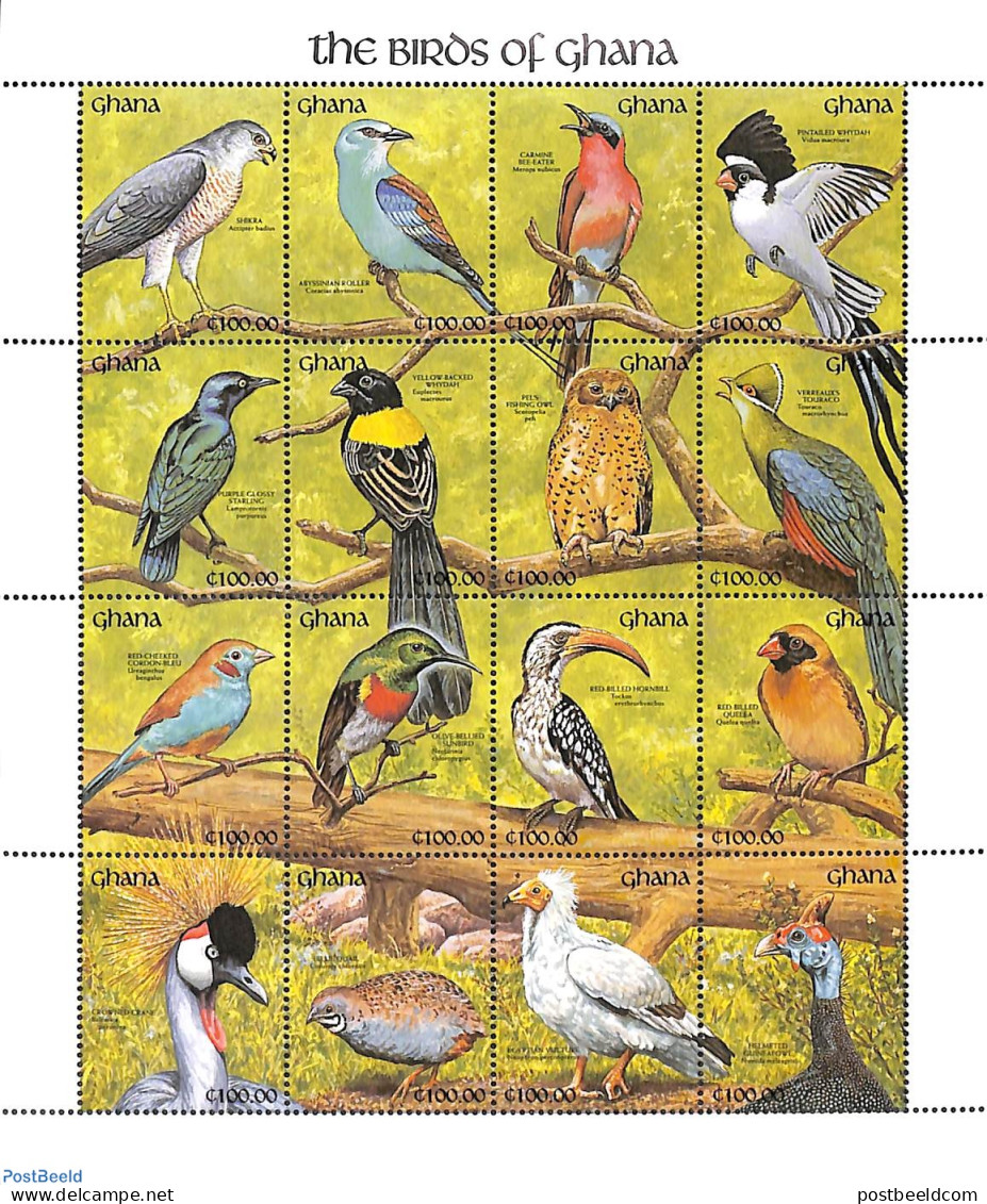 Ghana 1991 Birds 16v M/s, Mint NH, Nature - Birds - Owls - Autres & Non Classés