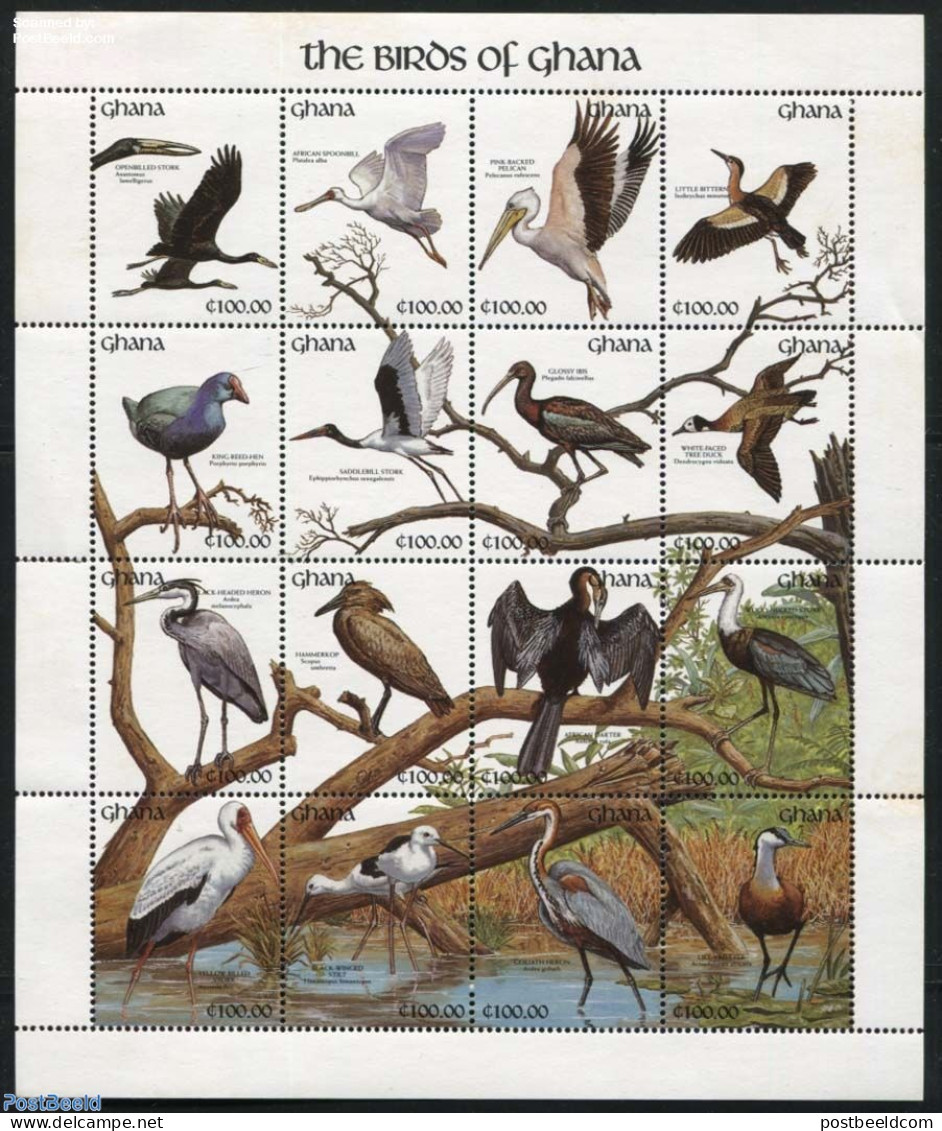 Ghana 1991 Birds 16v M/s, Mint NH, Nature - Birds - Sonstige & Ohne Zuordnung