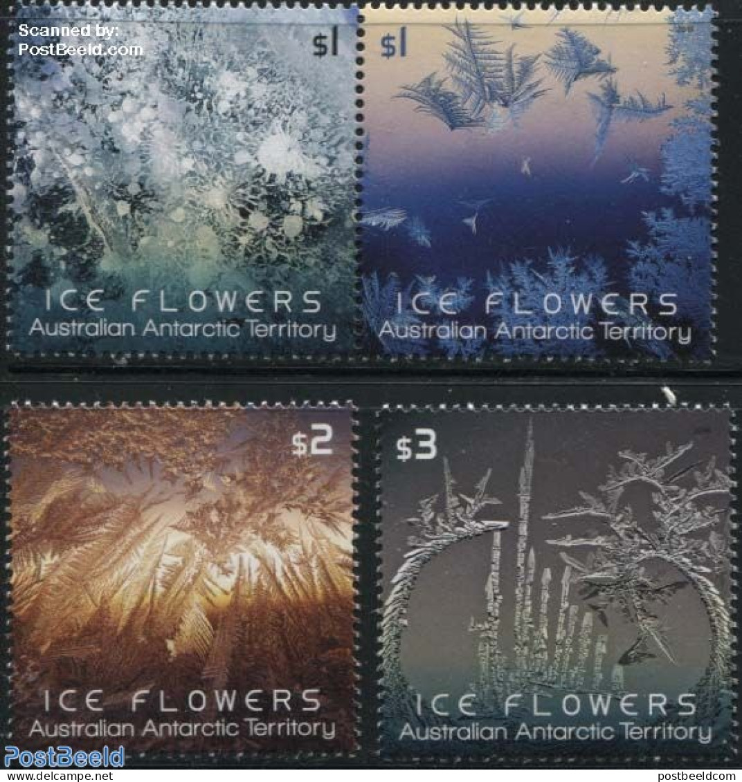 Australian Antarctic Territory 2016 Ice Flowers 4v (2v+[+]), Mint NH - Other & Unclassified