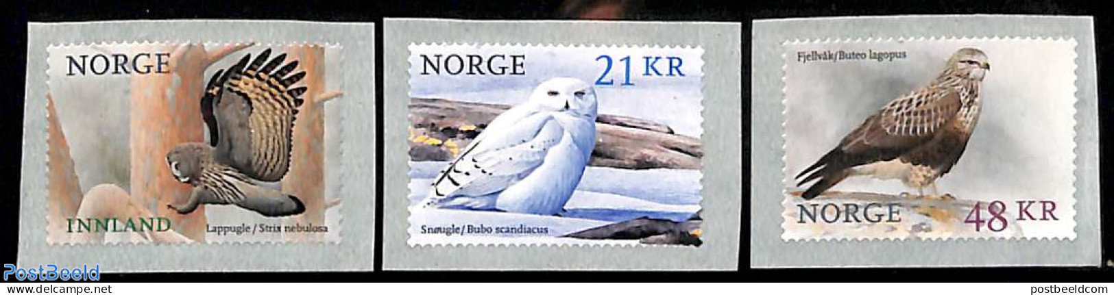 Norway 2018 Birds 3v S-a, Mint NH, Nature - Birds - Birds Of Prey - Owls - Nuovi