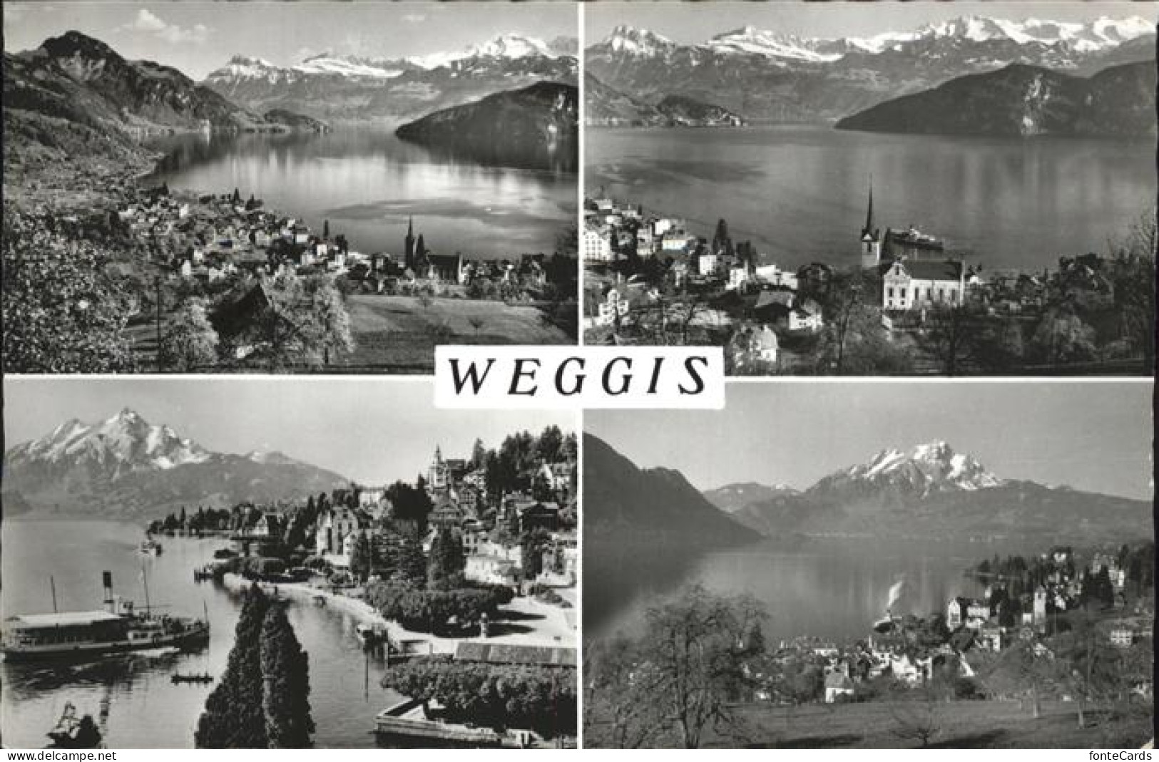 11353478 Weggis Vierwaldstaettersee Panorama Vierwaldstaettersee Weggis - Sonstige & Ohne Zuordnung