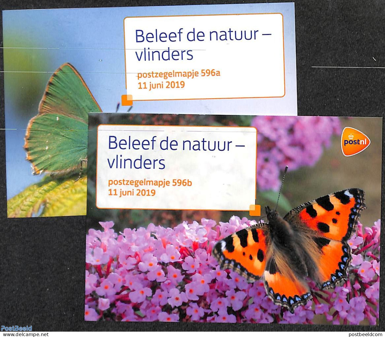Netherlands 2019 Nature Butterflies, Presentation Pack 596A+B, Mint NH, Nature - Butterflies - Unused Stamps