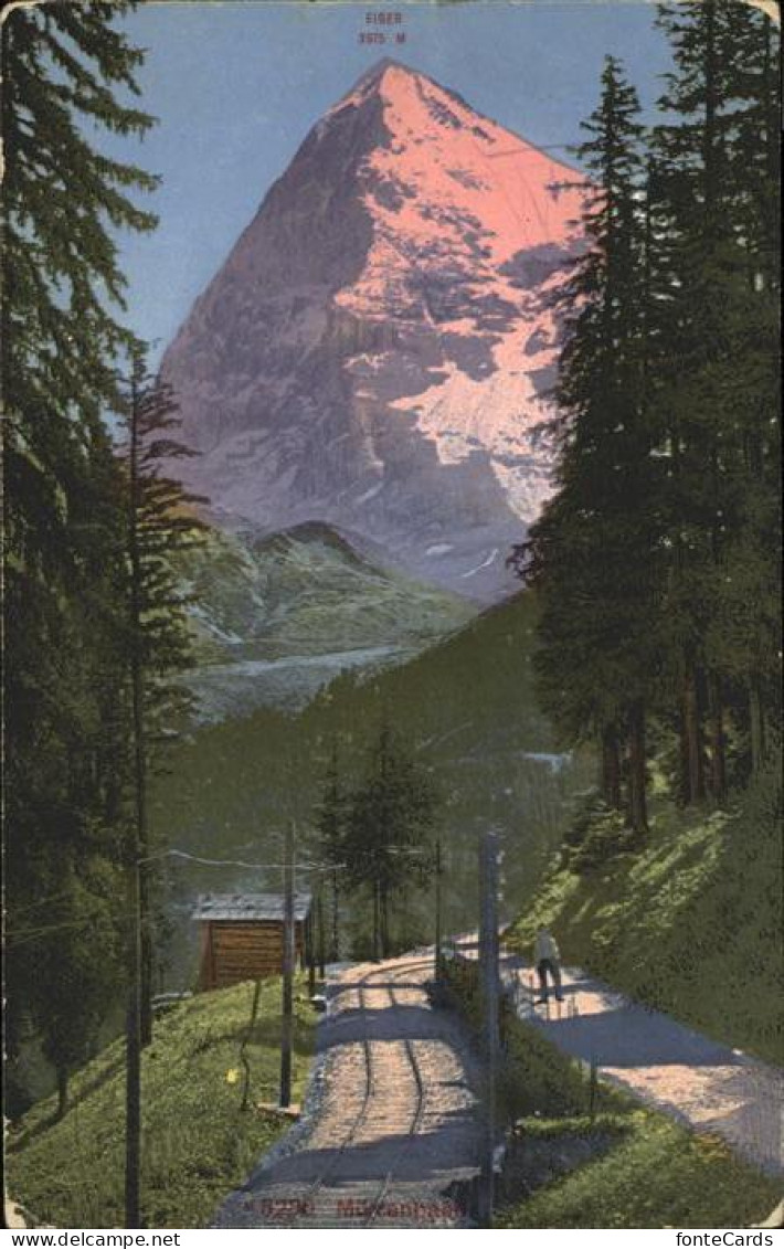 11353436 Grindelwald Blick Zum Eiger Im Abendrot Berner Alpen Grindelwald - Autres & Non Classés