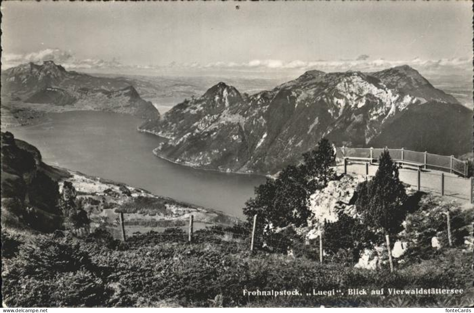 11353406 Fronalpstock Muotatal Aussichtsplattform Blick Auf Vierwaldstaettersee  - Otros & Sin Clasificación