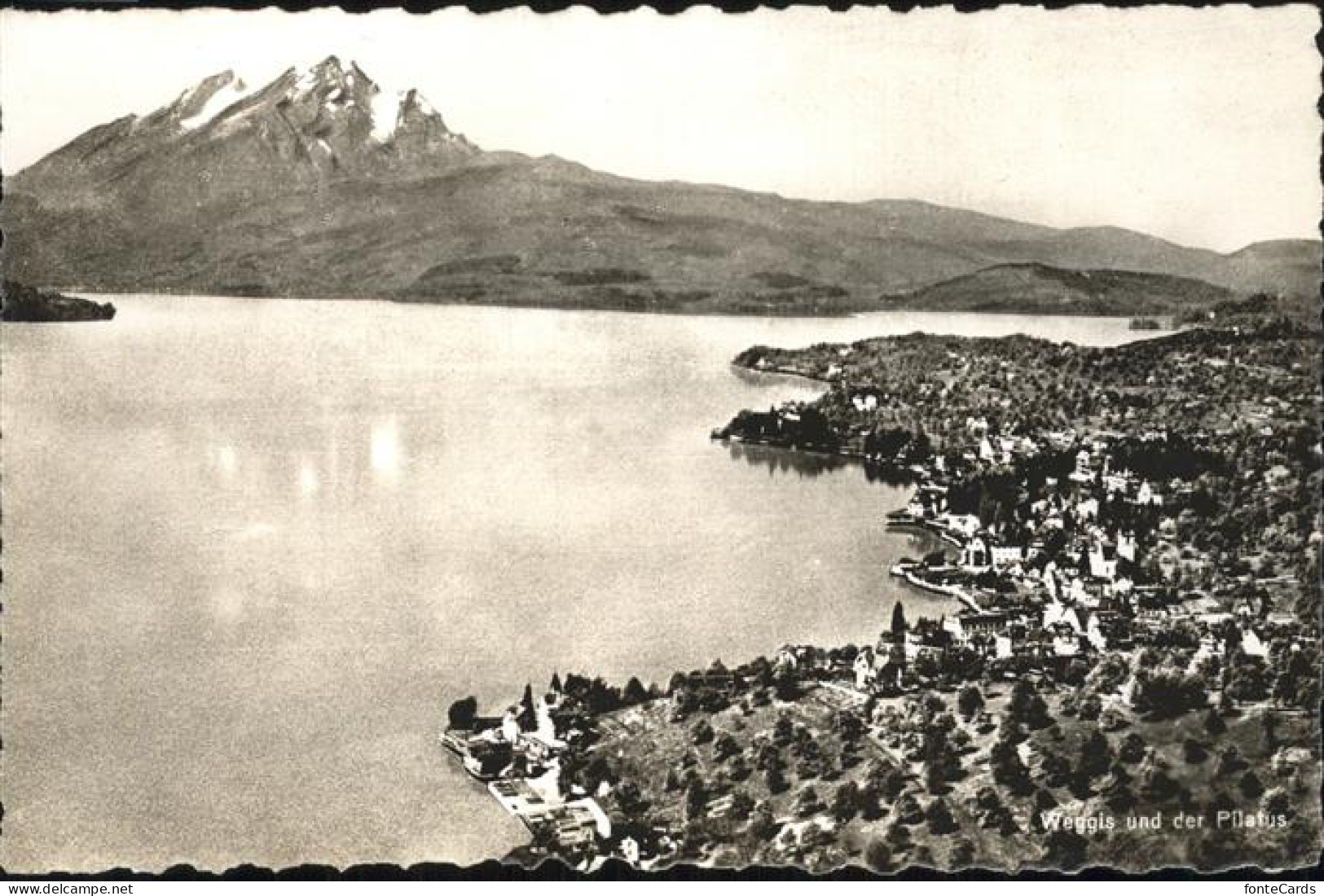 11353405 Weggis Vierwaldstaettersee Panorama Blick Ueber Vierwaldstaettersee Pil - Andere & Zonder Classificatie