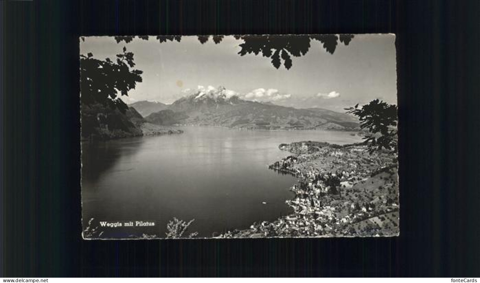 11353399 Weggis Vierwaldstaettersee Blick Ueber Vierwaldstaettersee Mit Pilatus  - Autres & Non Classés