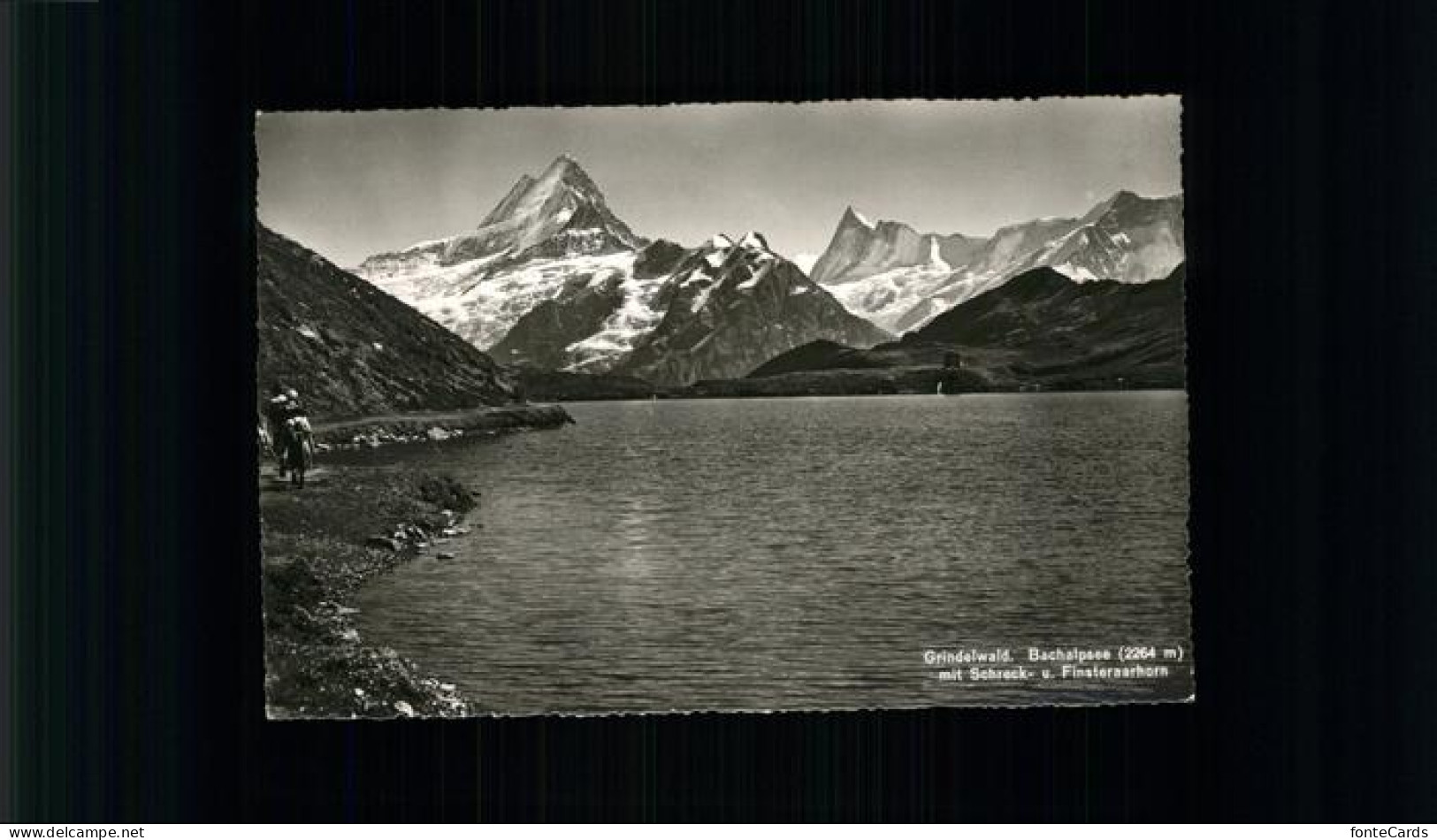 11353382 Grindelwald Bachalpsee Mit Schreck- Und Finsteraarhorn Berner Alpen Gri - Andere & Zonder Classificatie