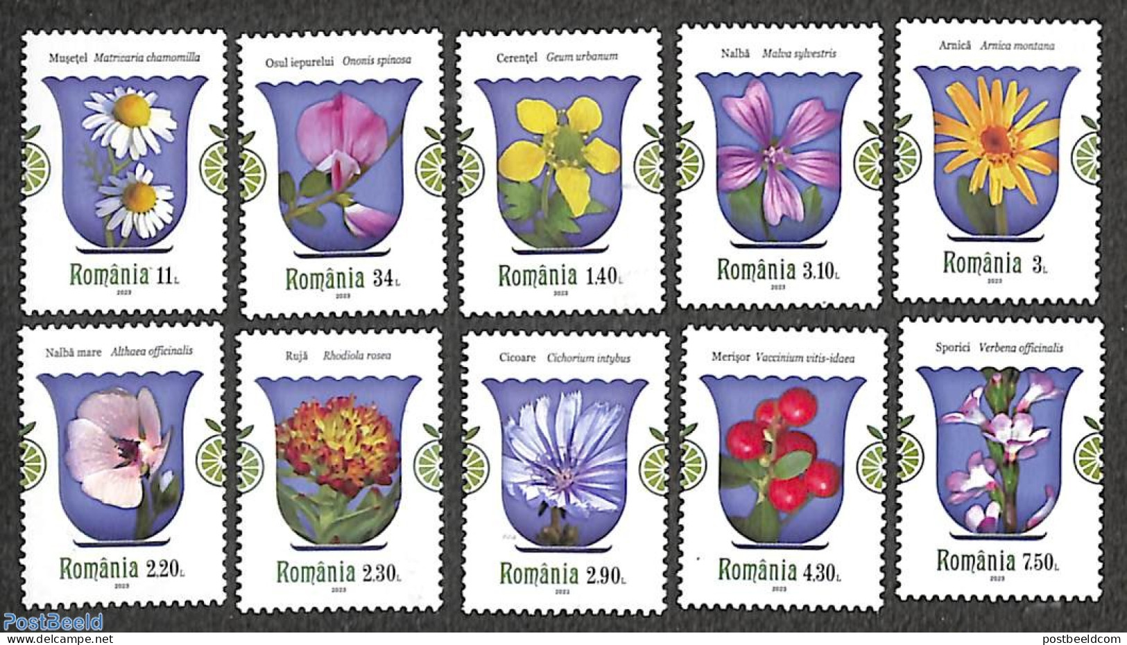 Romania 2023 Medical Plants 10v, Mint NH, Health - Nature - Health - Flowers & Plants - Unused Stamps
